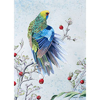 Click to Enlarge