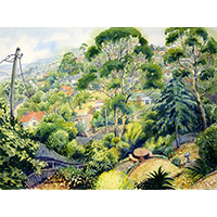 Click to Enlarge